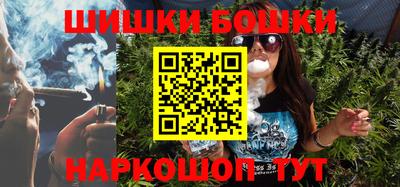индика Пенза