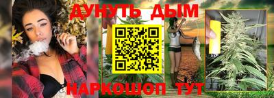 индика Пенза