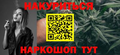 индика Пенза