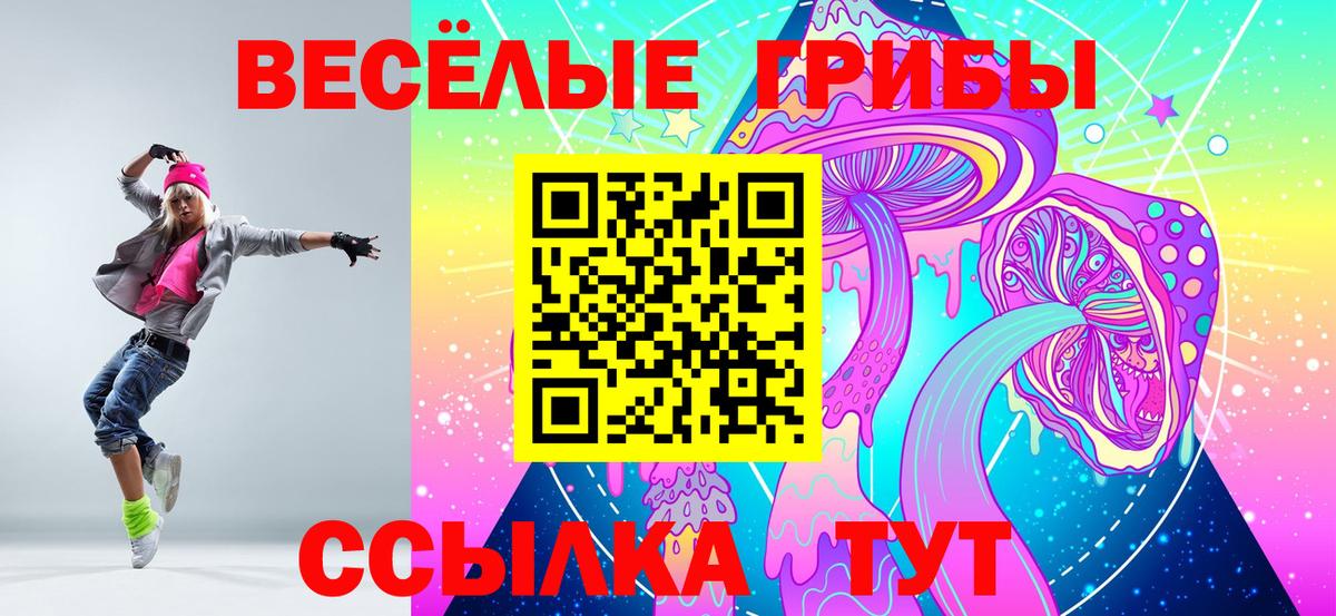 Галлюциногенные грибы MAGIC MUSHROOMS  Вход с VPN  Сокол  Галлюциногенные грибы Cubensis 