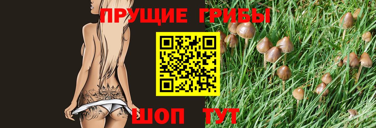 Псилоцибиновые грибы Magic Shrooms Сокол