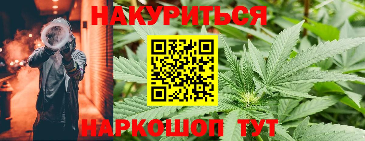 Бошки марихуана конопля  Канабис гибрид  Каннабис семена  Сокол  Вход с VPN 